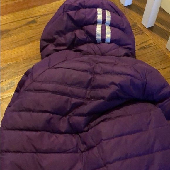 Canada 🇨🇦 goose arctic program M purple puffer jacket - Picture 4 of 8